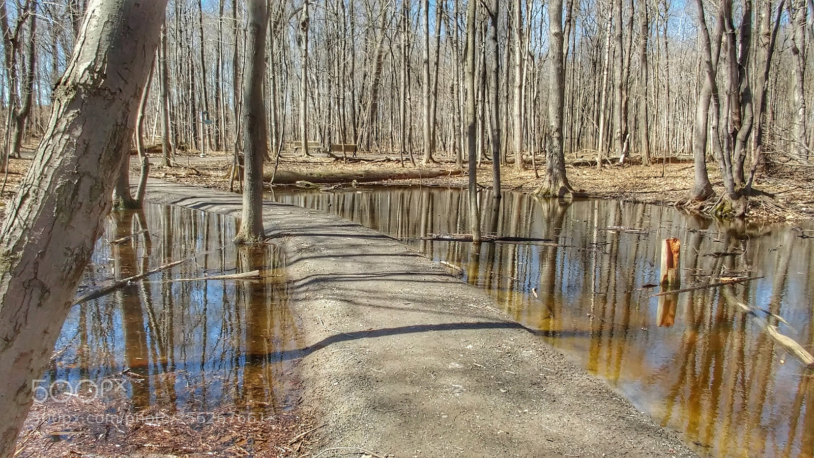 LG G5 sample photo. Reflections photography