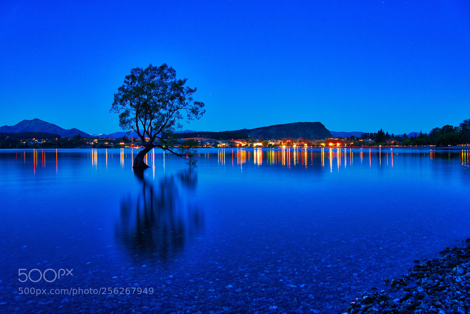 Sony a7 II sample photo. Wanaka tree night f photography