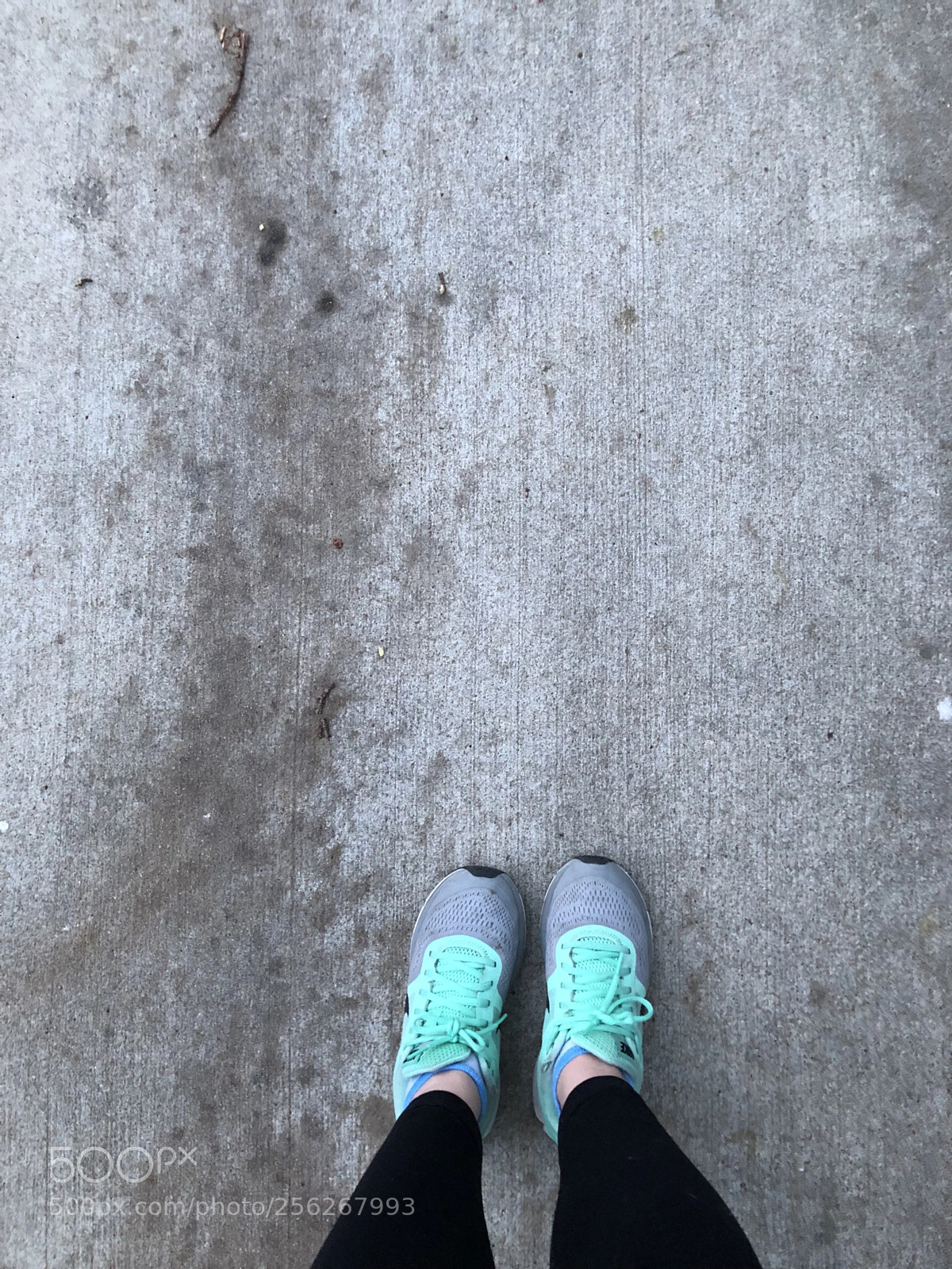 Apple iPhone 8 Plus sample photo. Untitled photography