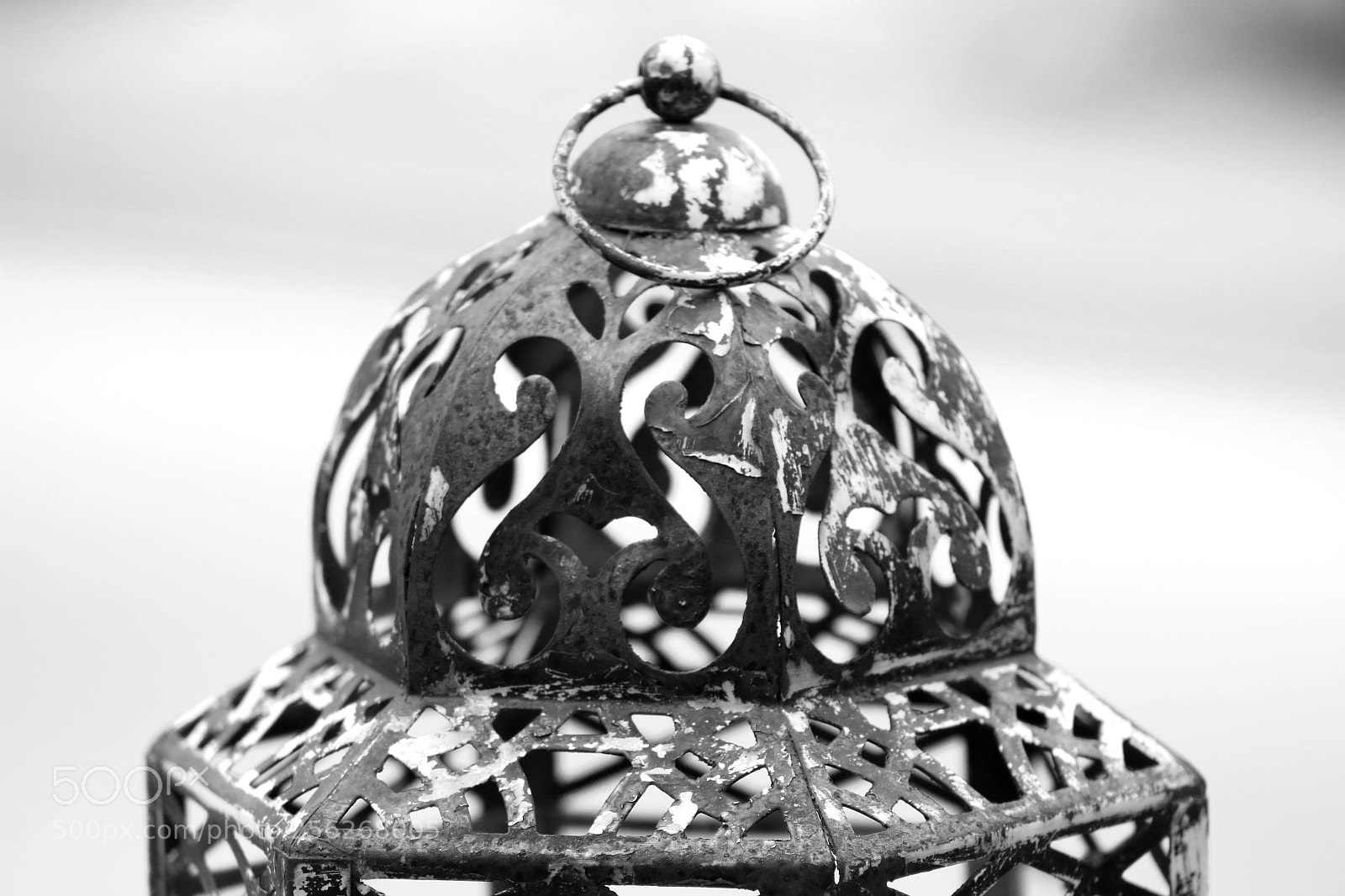 Canon EOS 70D sample photo. Ferrugem photography