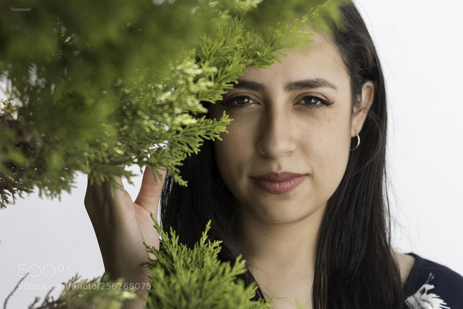 Canon EOS 70D sample photo. Zalma photography