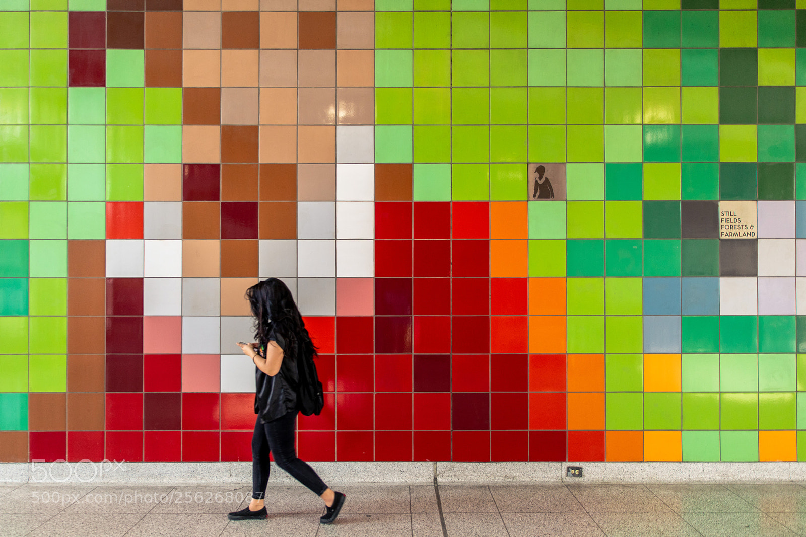 Canon EOS 5D Mark IV sample photo. Wall-eyed photography