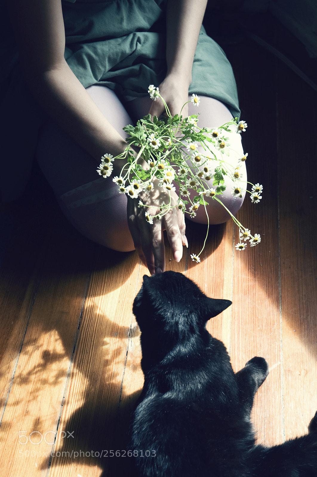 Nikon D700 sample photo. Untitled photography