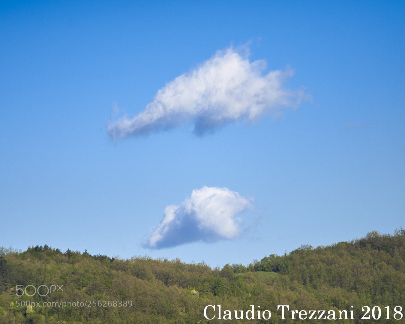 Nikon D600 sample photo. Untitled photography