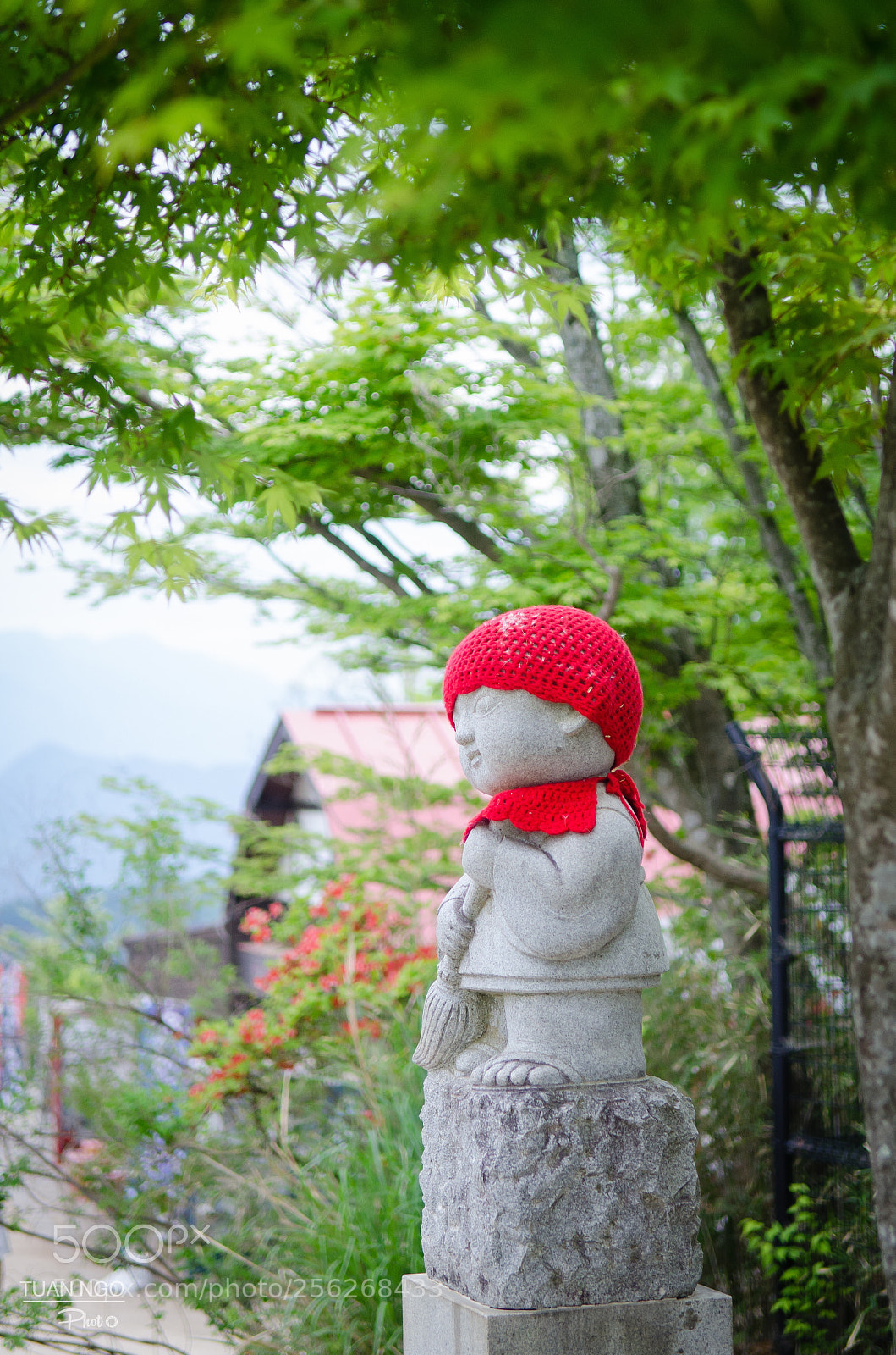 Nikon D7000 sample photo. Peaceful  photography
