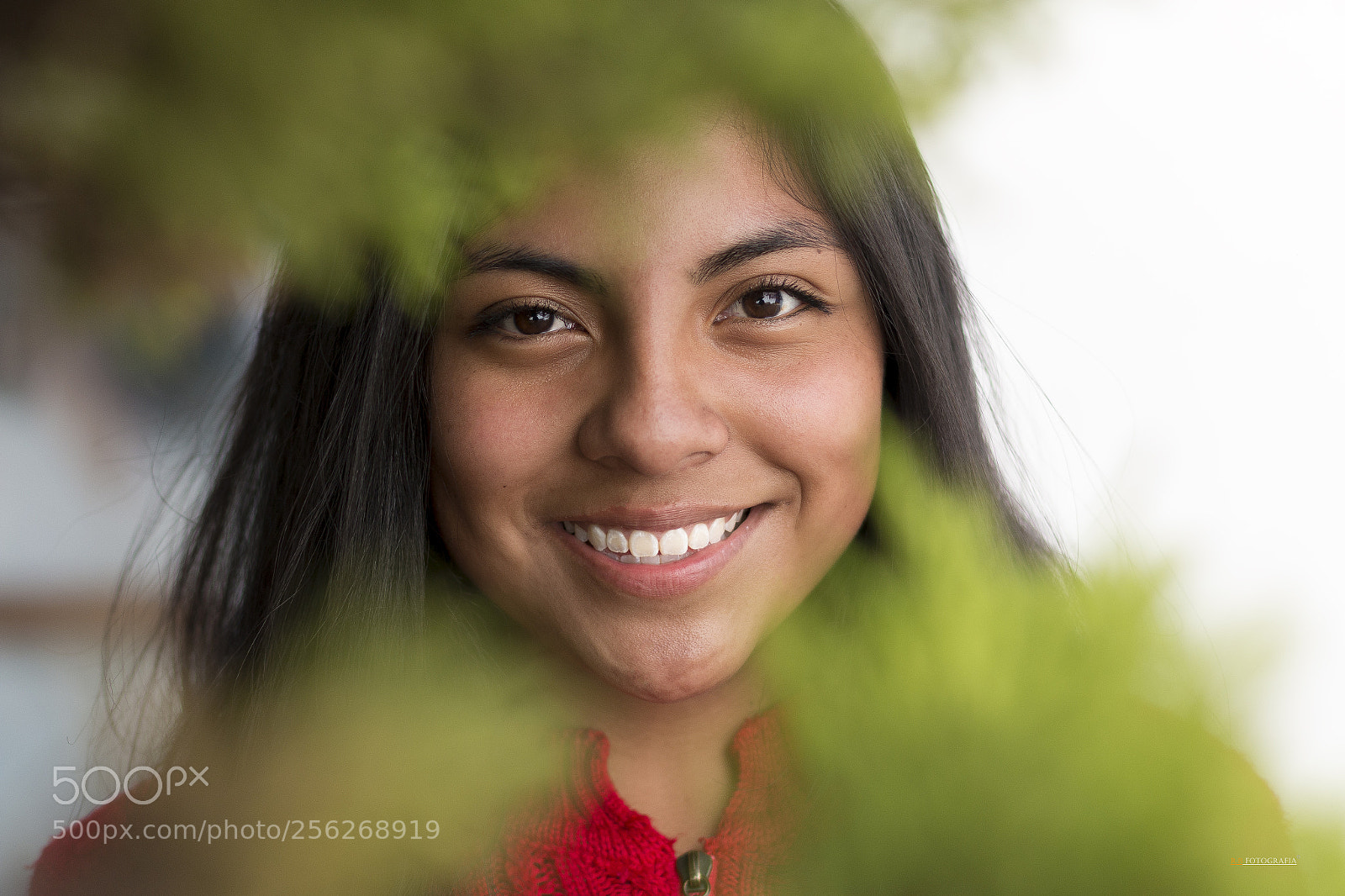 Canon EOS 70D sample photo. Nere photography