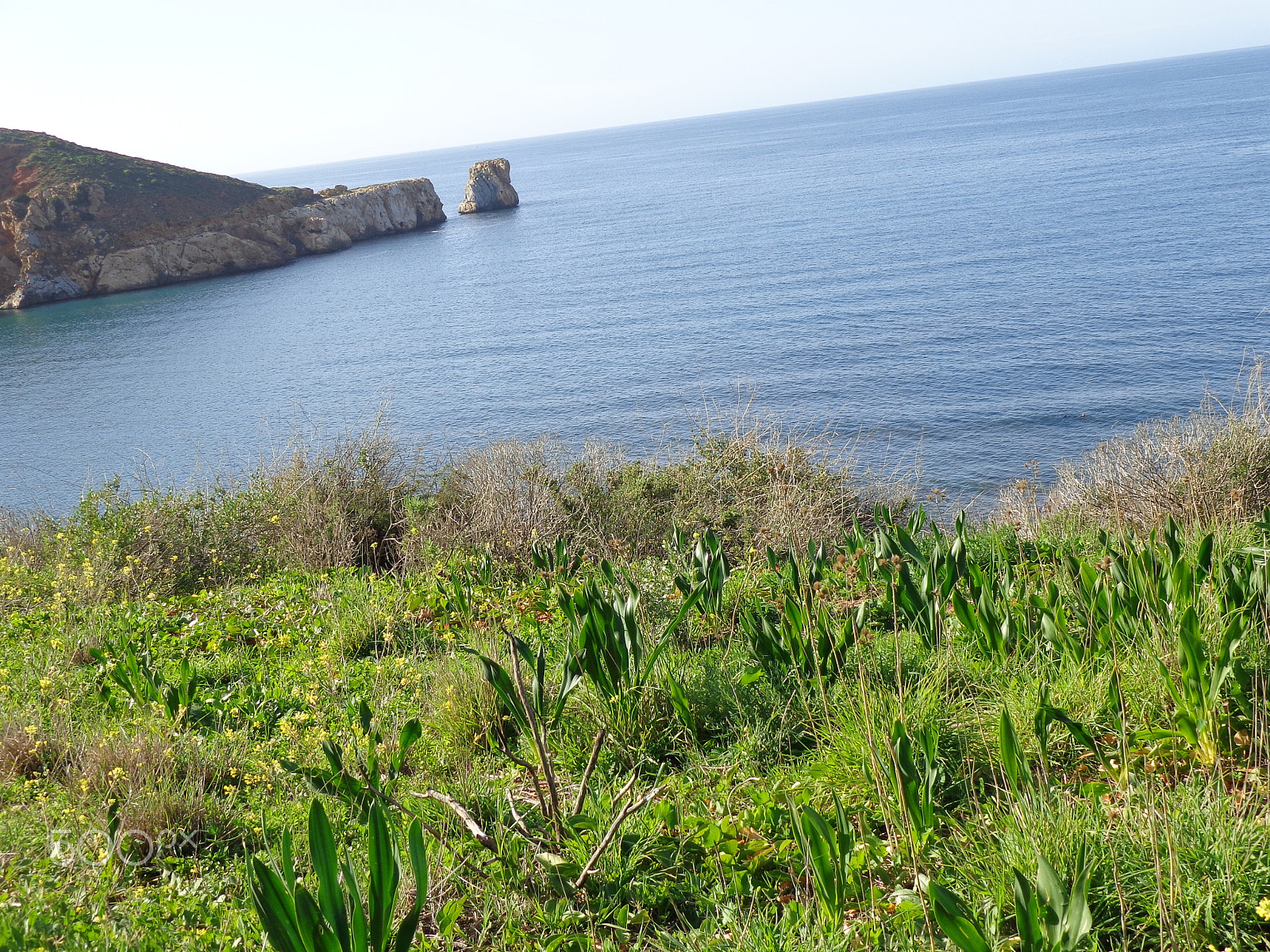 Sony Cyber-shot DSC-H90 sample photo. Road to the sea edge photography