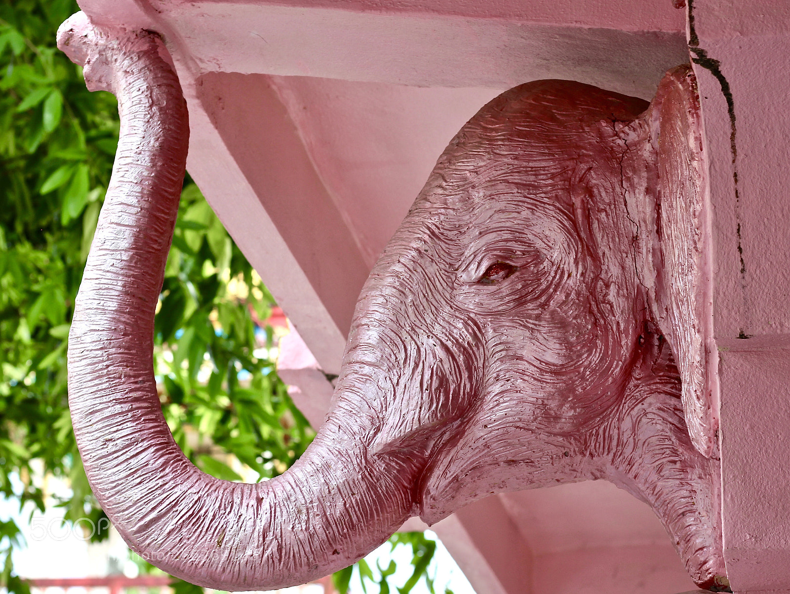 Canon EOS 700D (EOS Rebel T5i / EOS Kiss X7i) sample photo. Pink elephant  photography