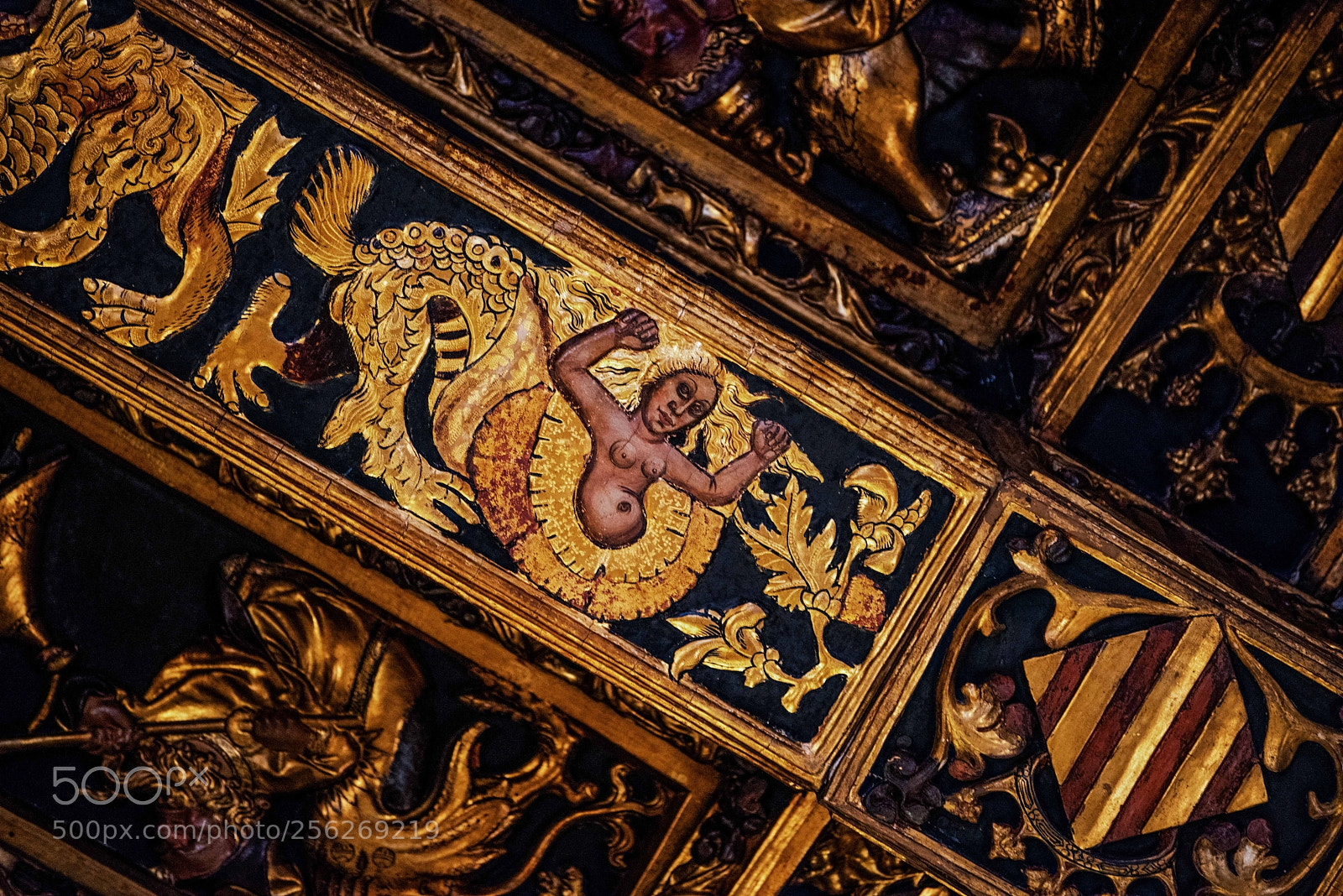 Nikon D810 sample photo. Valencia photography