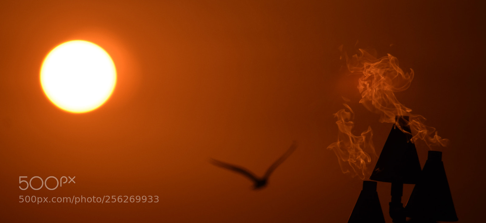 Nikon D5300 sample photo. Heat photography