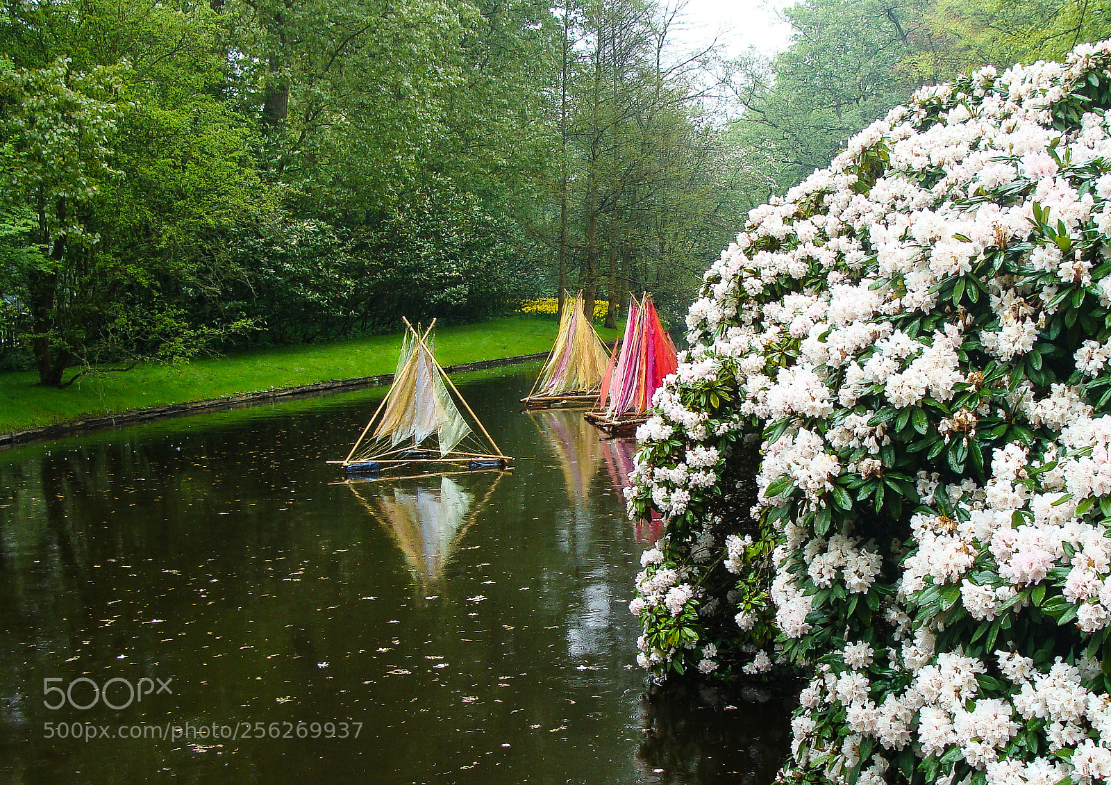 Sony DSC-H3 sample photo. Keukenhof garden photography