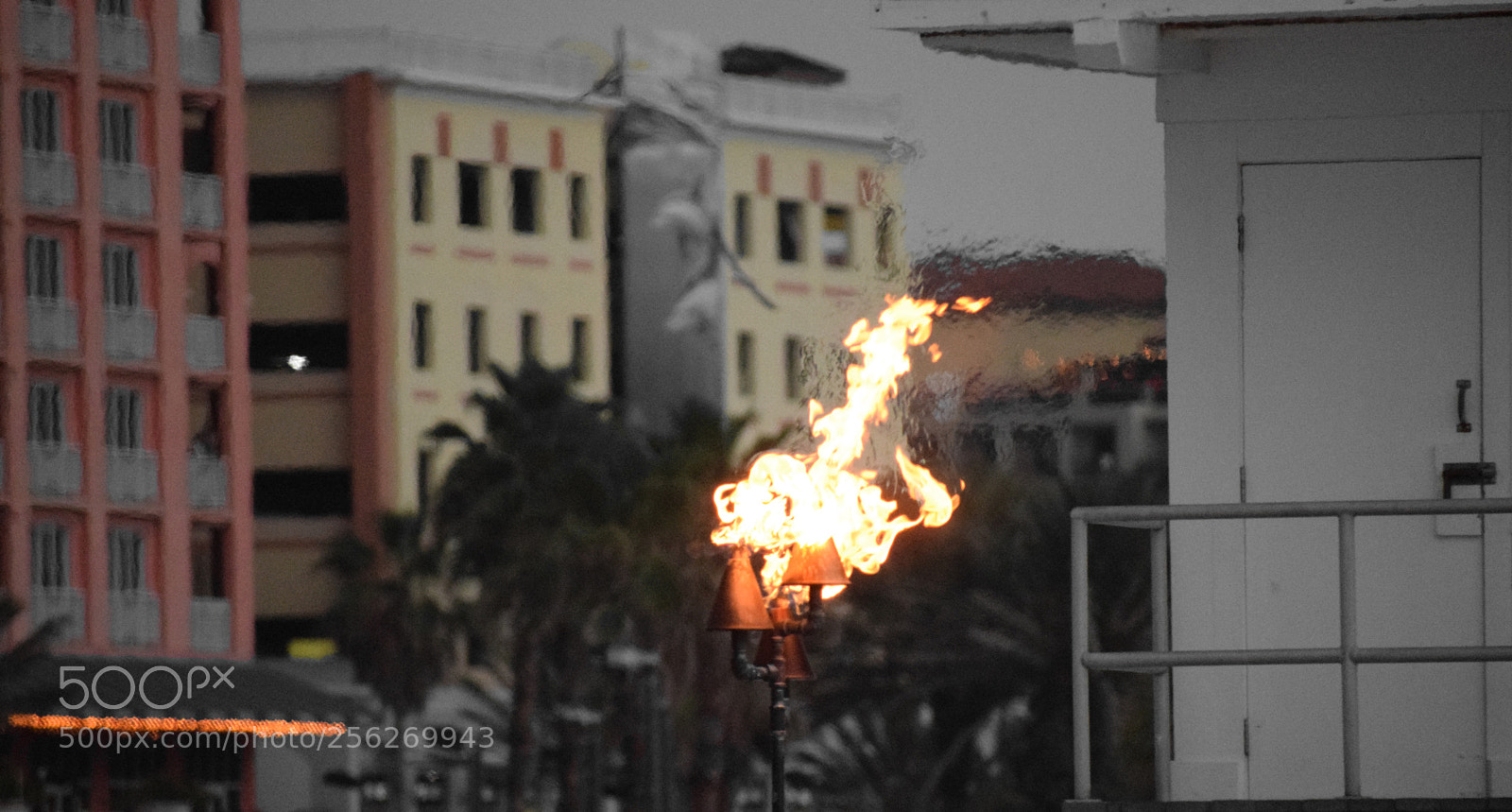 Nikon D5300 sample photo. Fire photography