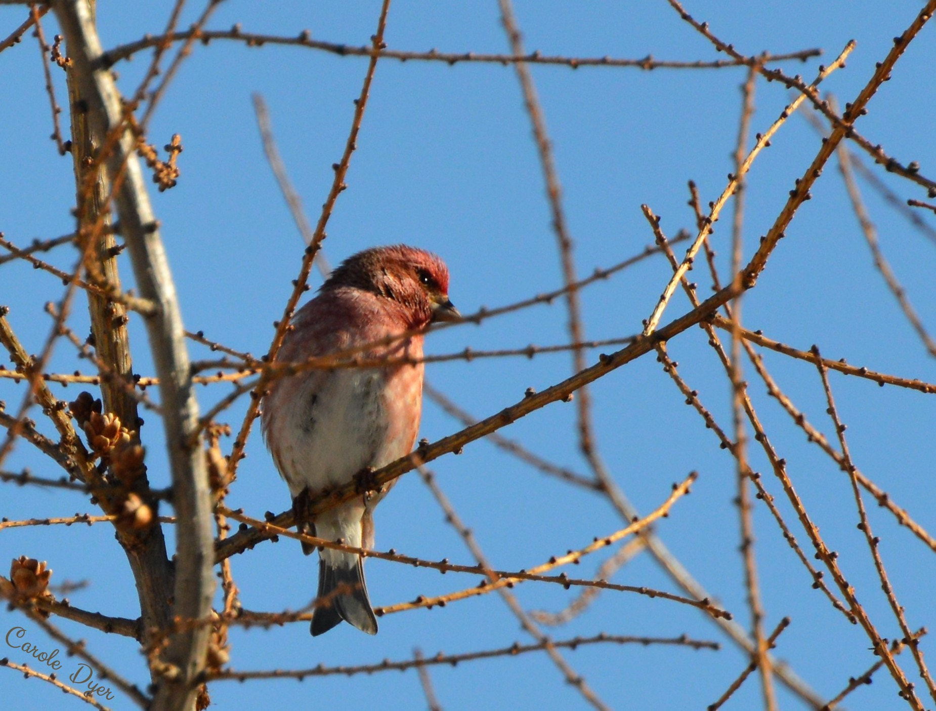 Nikon D3200 sample photo. Waiting for the morning sun photography
