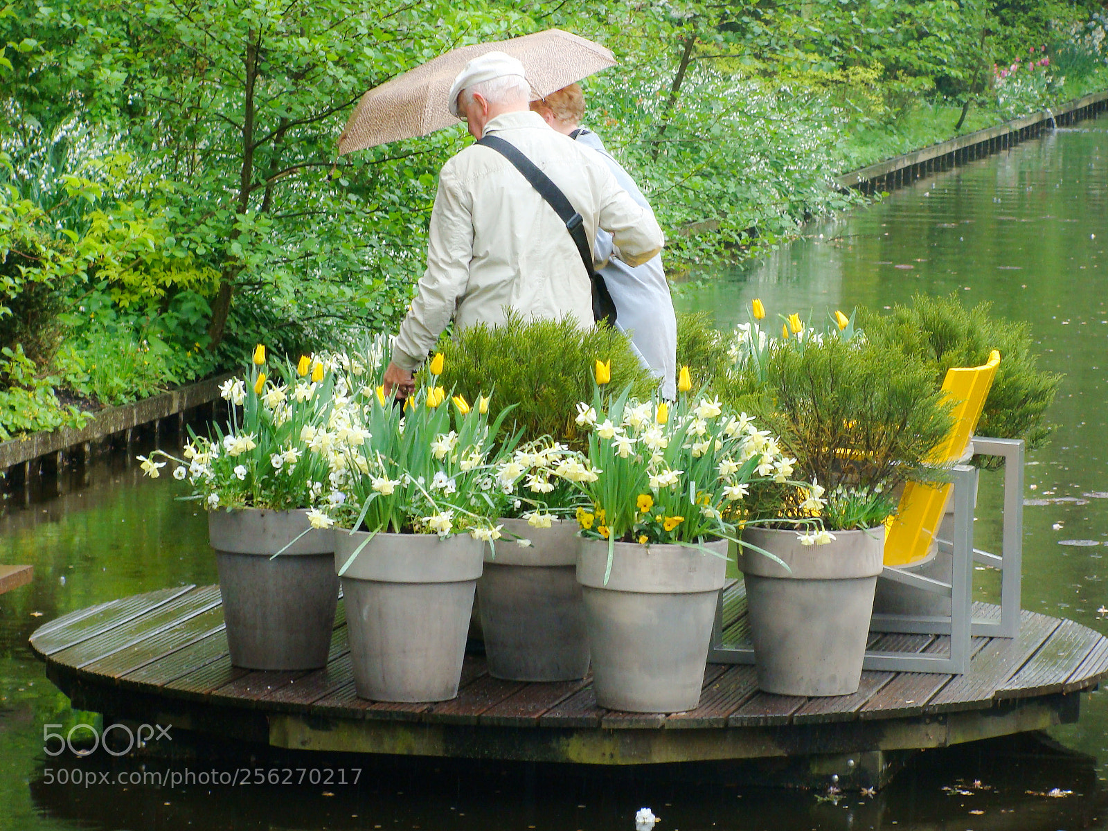 Sony DSC-H3 sample photo. Keukenhof garden photography