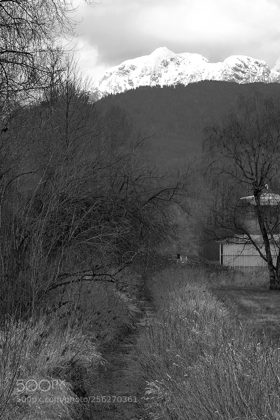 Panasonic Lumix DMC-LX7 sample photo. B&w photography