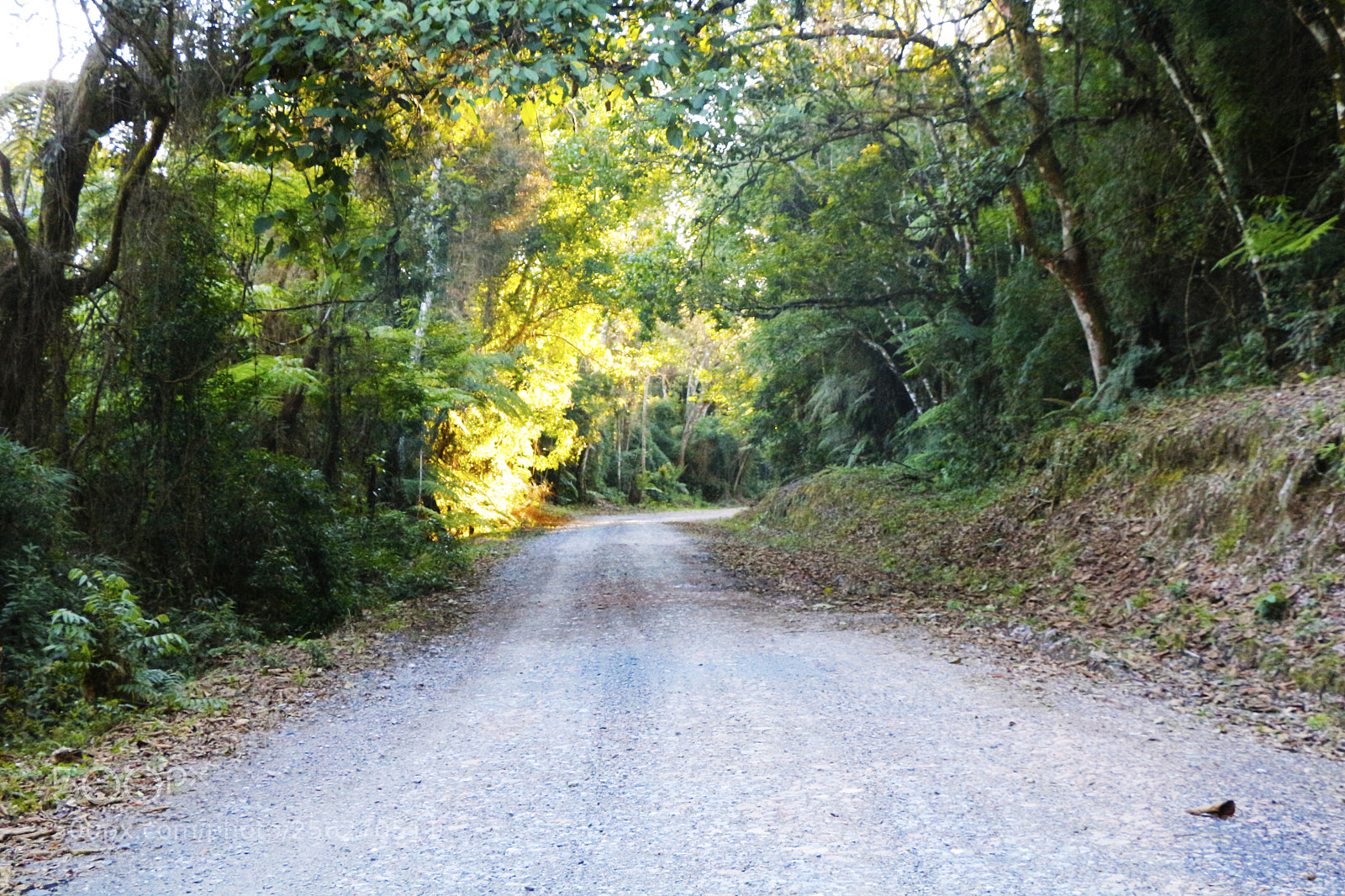 Canon EOS 650D (EOS Rebel T4i / EOS Kiss X6i) sample photo. Street to top of photography