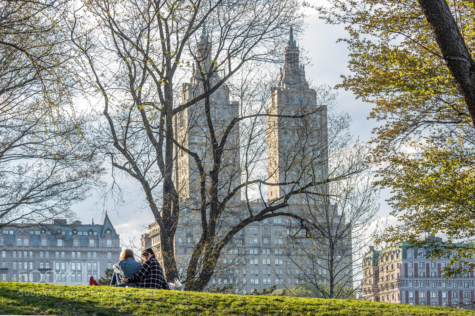Canon EOS 6D Mark II sample photo. Spring in new york photography