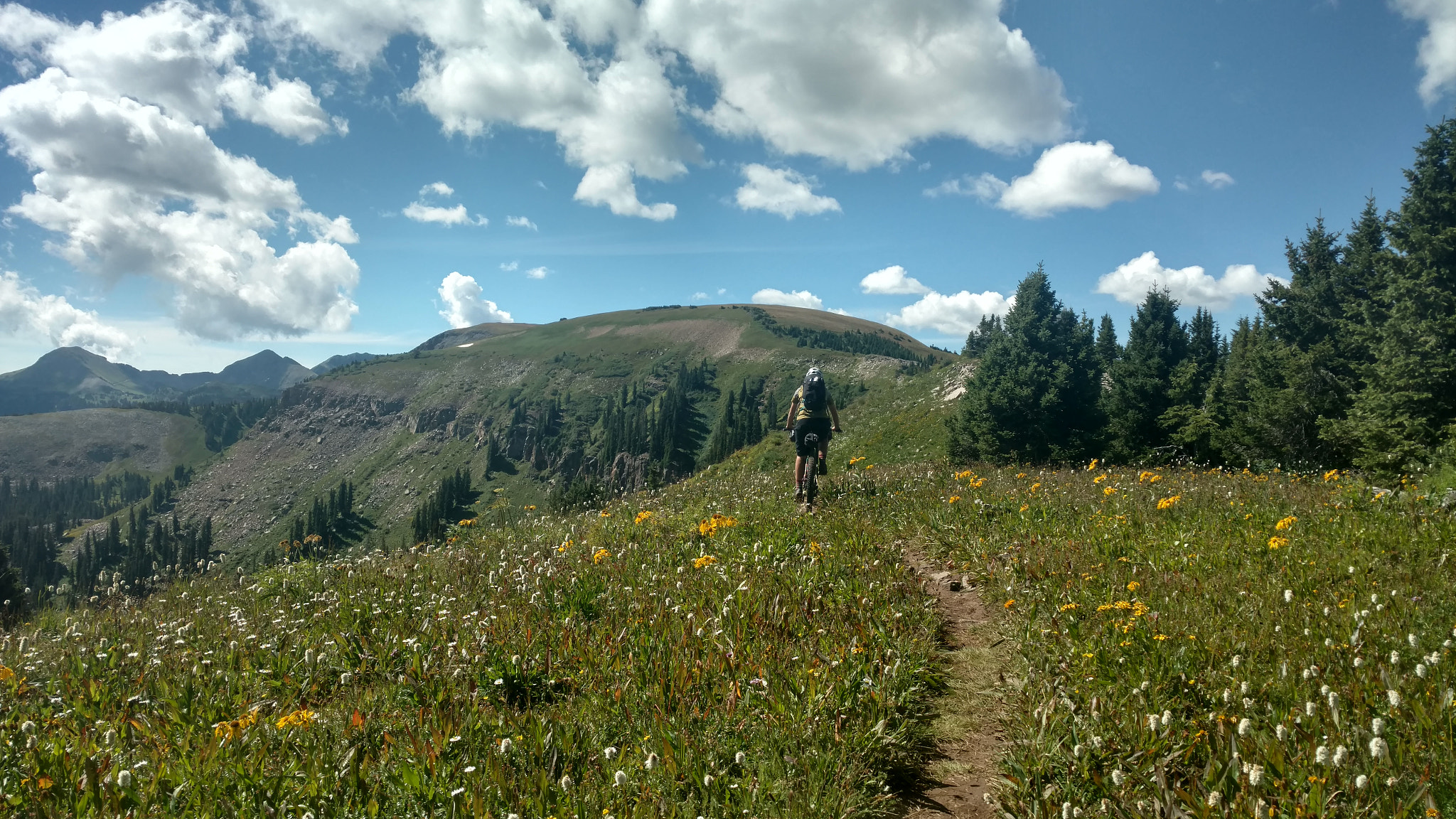 Motorola DROID Turbo 2 sample photo. Colorado trail 2017 photography