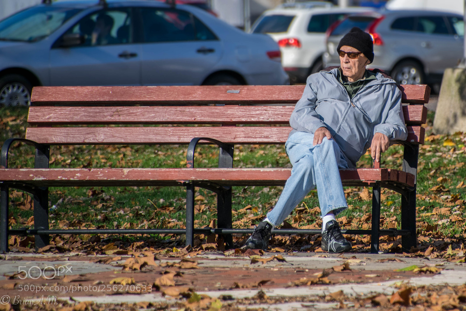 Nikon D5300 sample photo. Resting photography