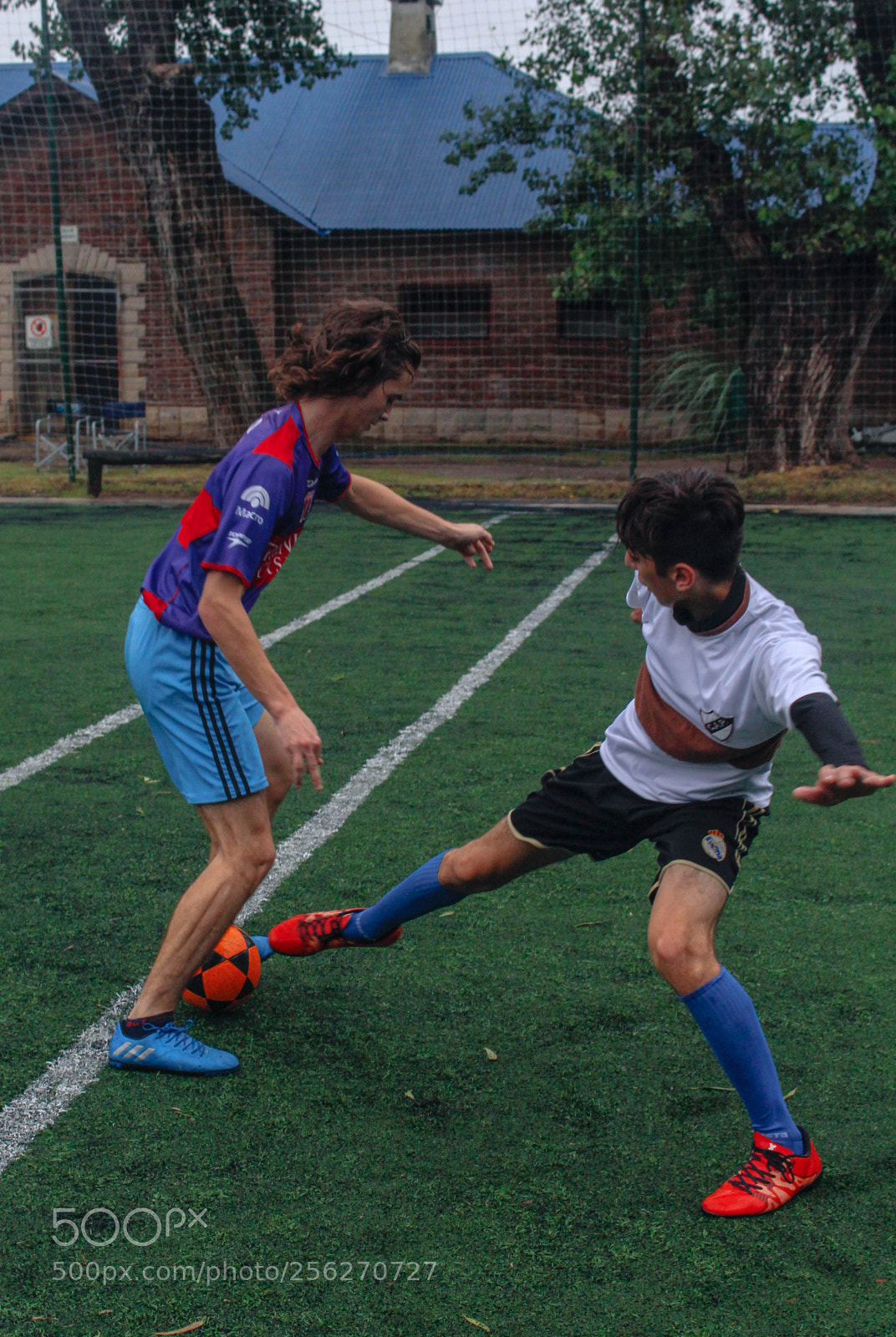 Canon EOS 700D (EOS Rebel T5i / EOS Kiss X7i) sample photo. Duelo a muerte photography
