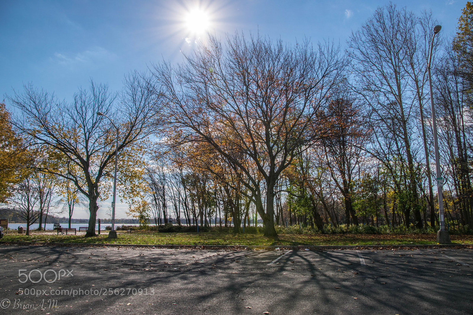 Nikon D5300 sample photo. Untitled photography