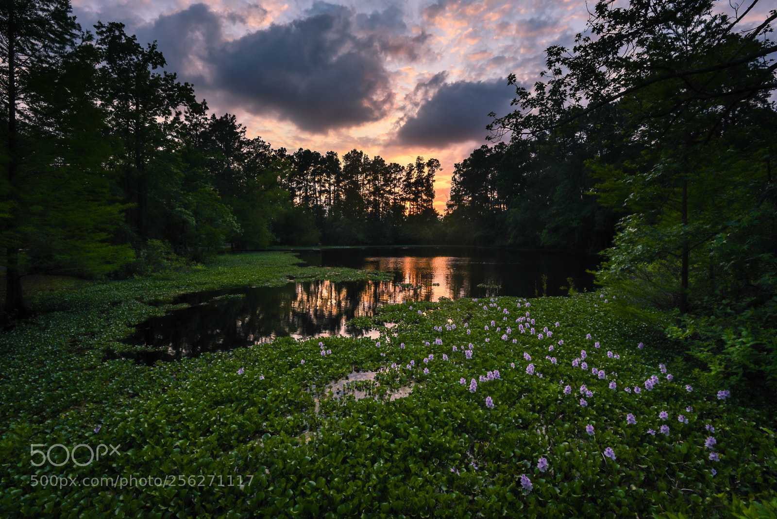 Nikon D750 sample photo. West lake at sunset photography
