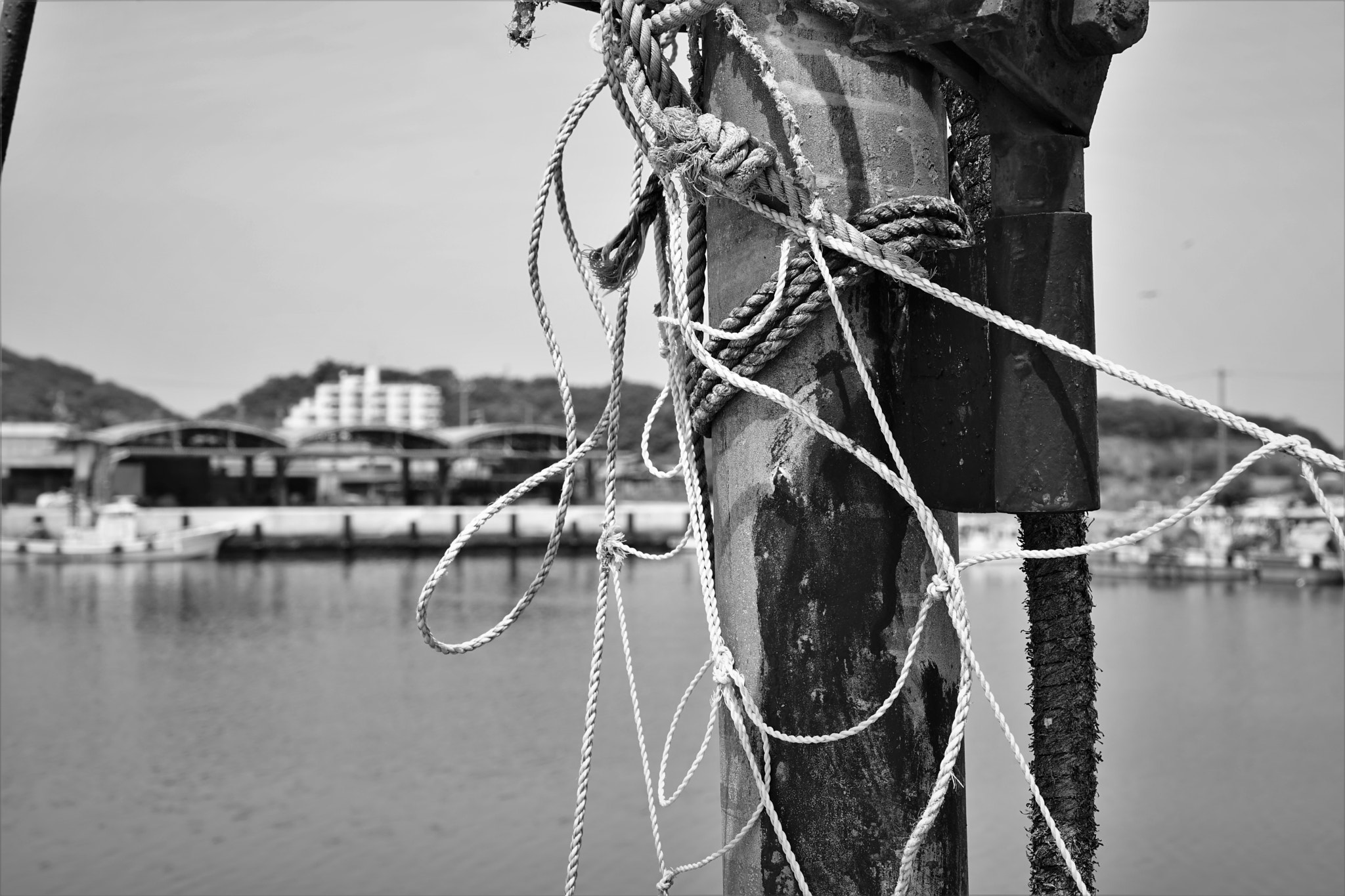 Sony Sonnar T* FE 55mm F1.8 ZA sample photo. Fishing harbor photography