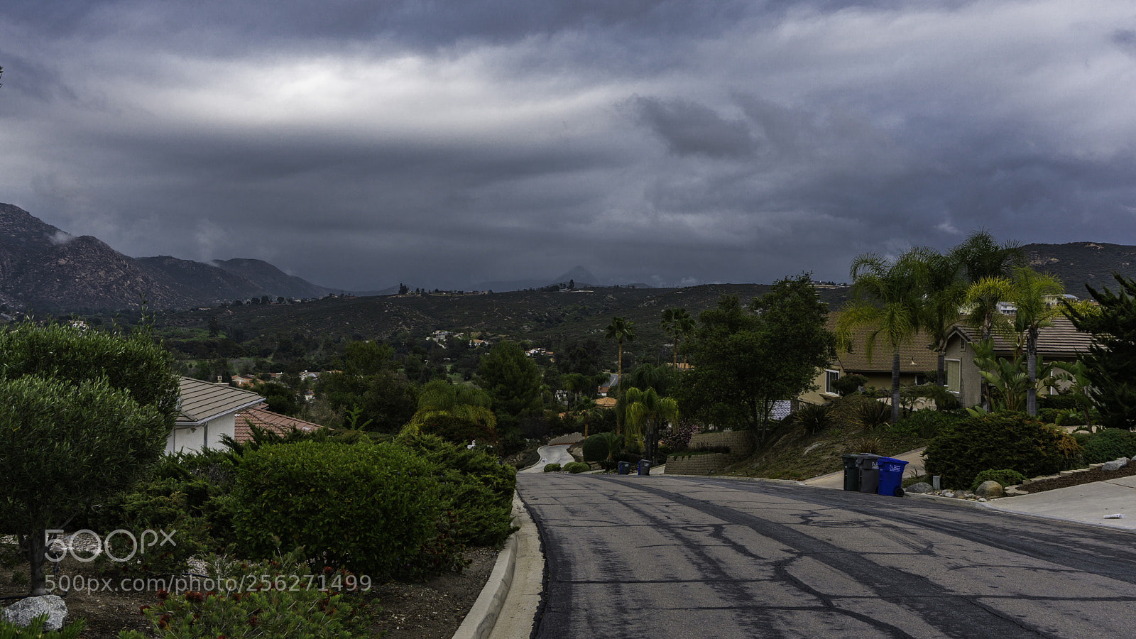 Sony a6000 sample photo. Dsc photography