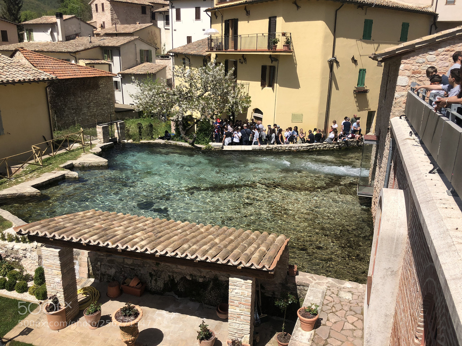 Apple iPhone X sample photo. Natural pool photography