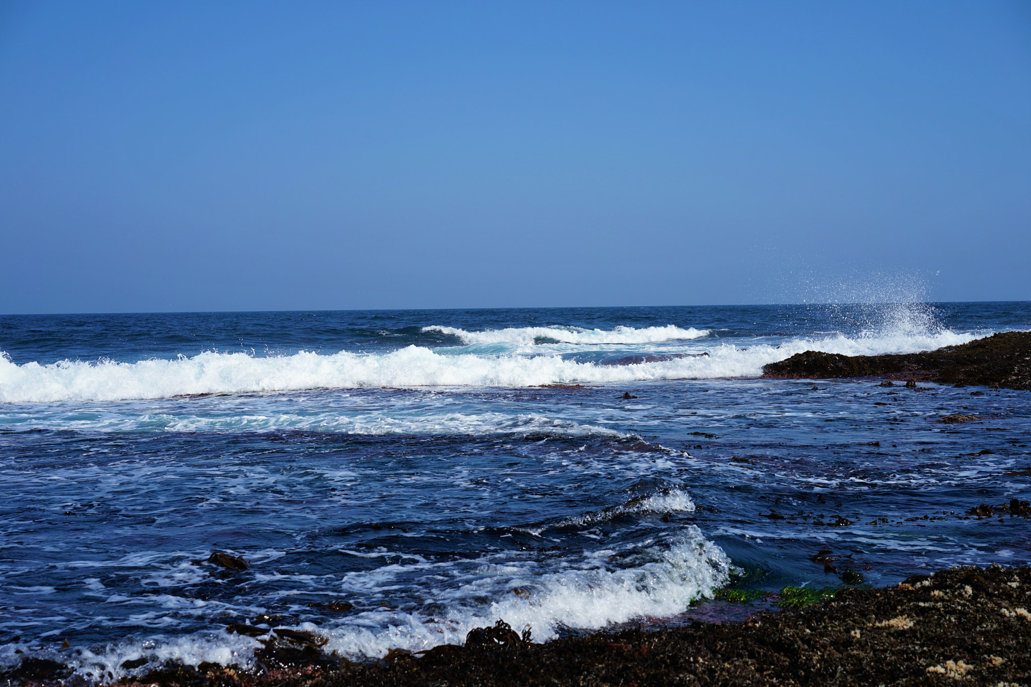 Sony a7 II + Sony Sonnar T* FE 55mm F1.8 ZA sample photo. Katsuura sea photography