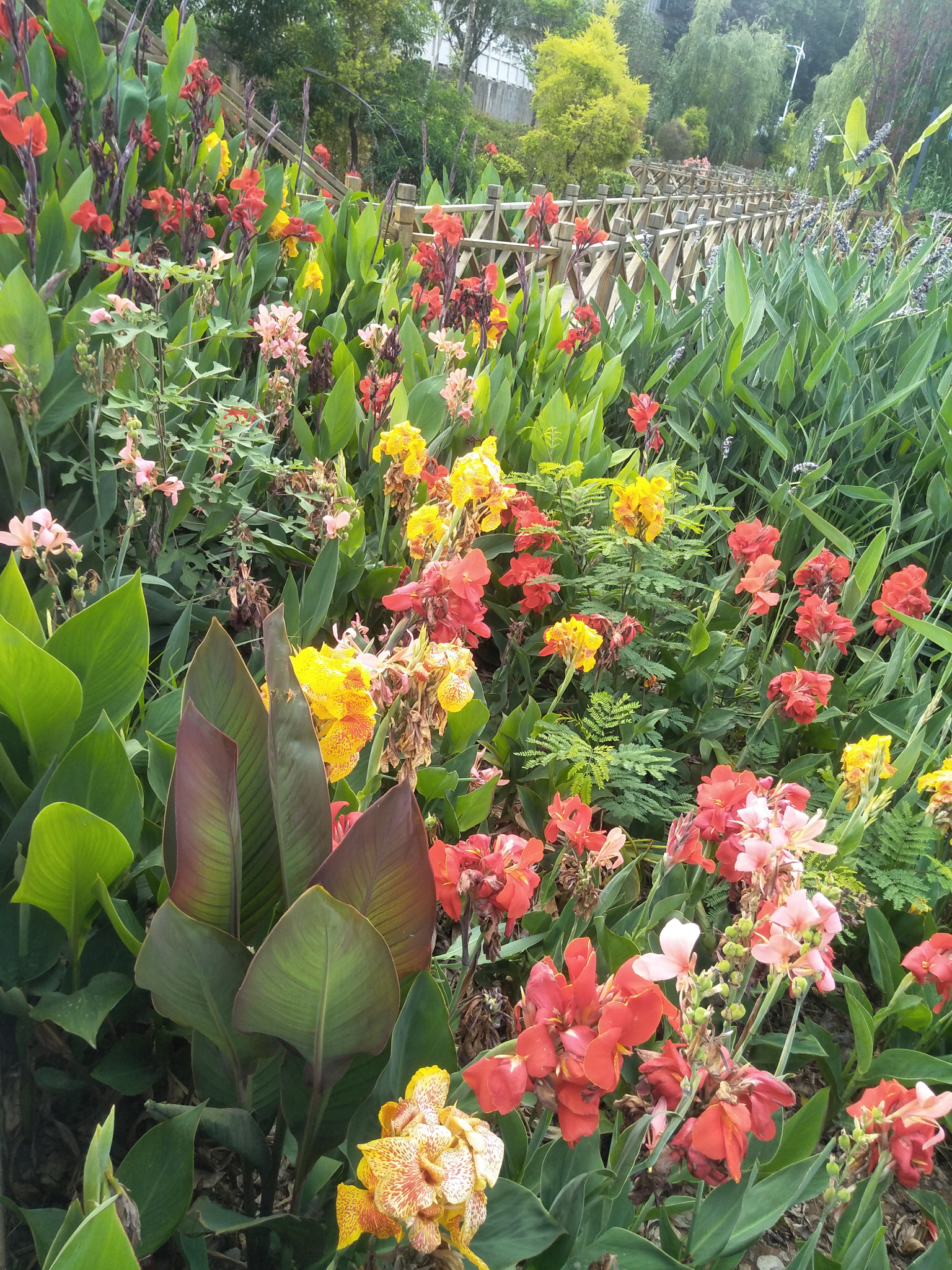 OPPO A57 sample photo