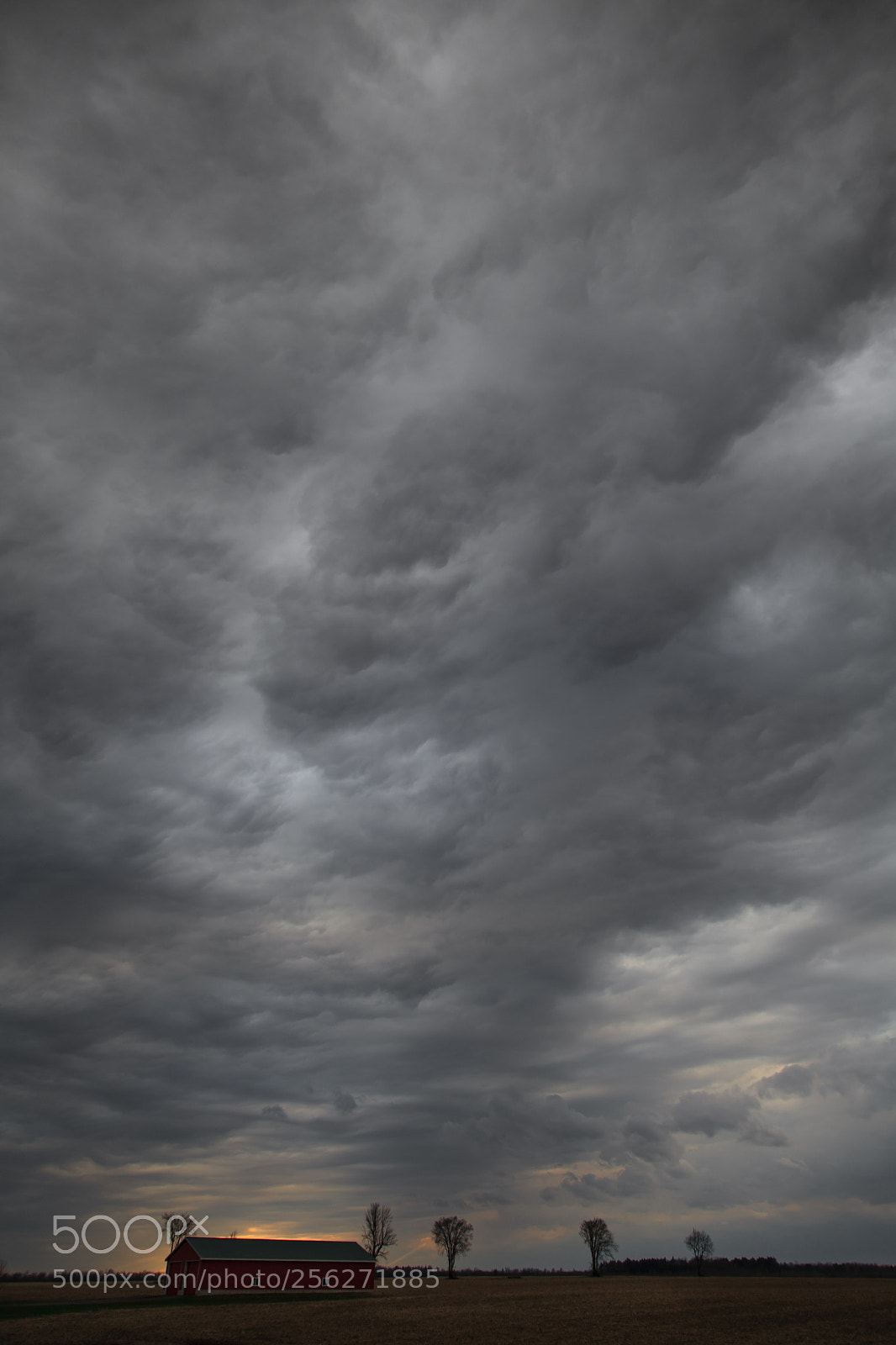 Canon EOS 5D Mark II sample photo. Mother natures display photography