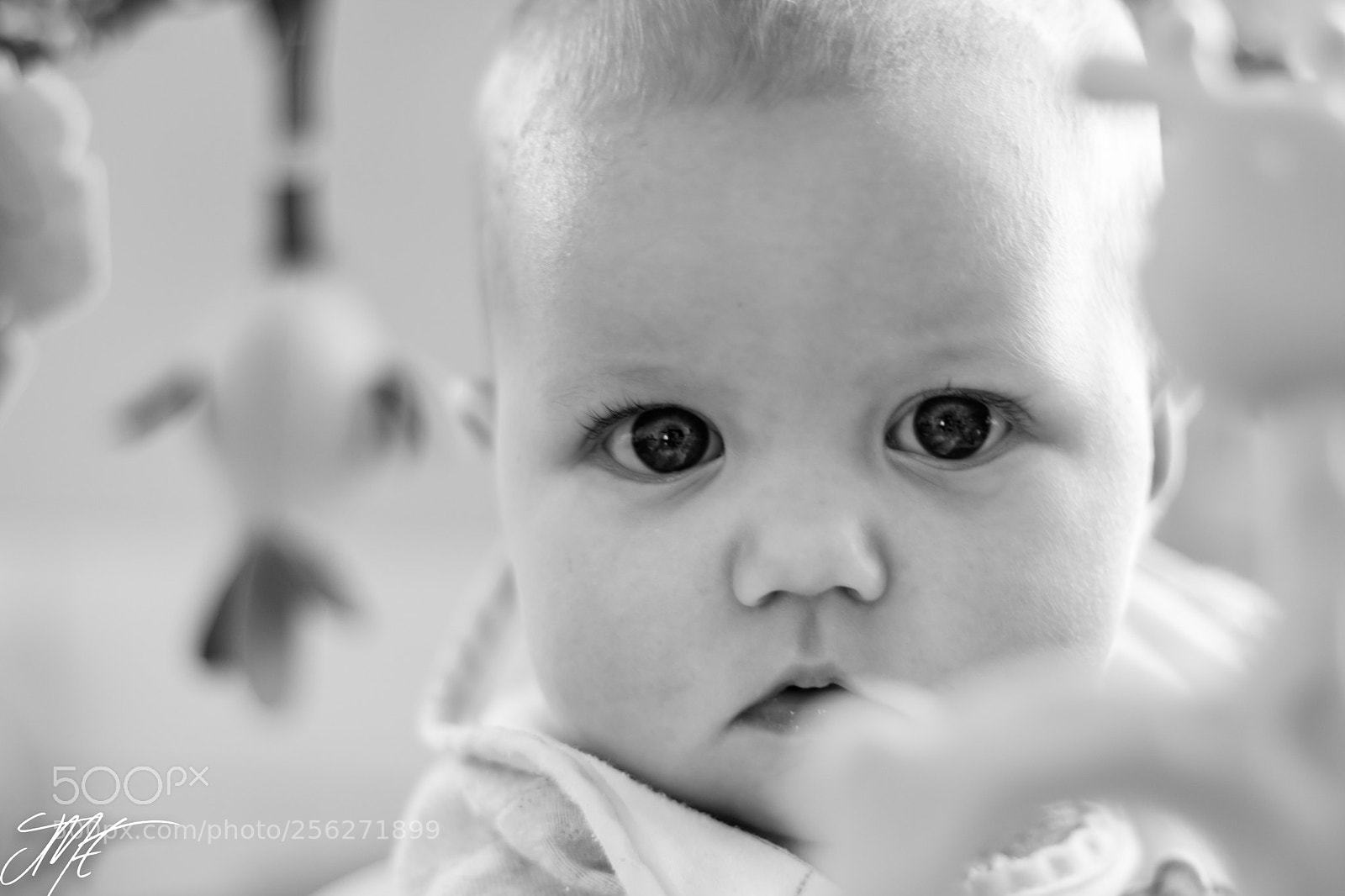 Canon EOS 70D sample photo. 5 months photography