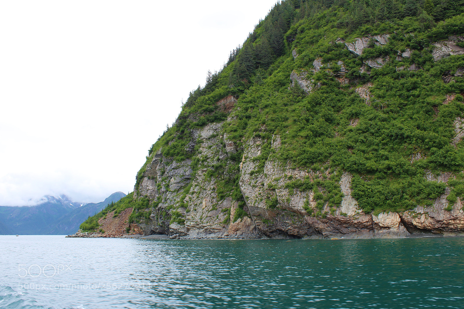 Canon EOS 1300D (EOS Rebel T6 / EOS Kiss X80) sample photo. Kenai fjords tour photography
