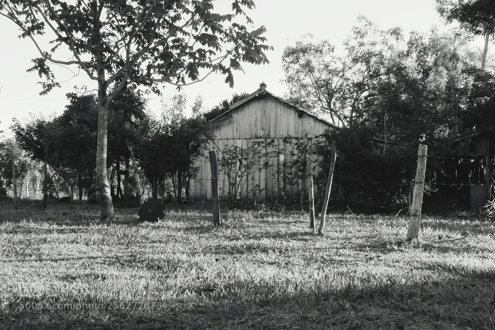 Canon PowerShot SX540 HS sample photo. House abandoned photography