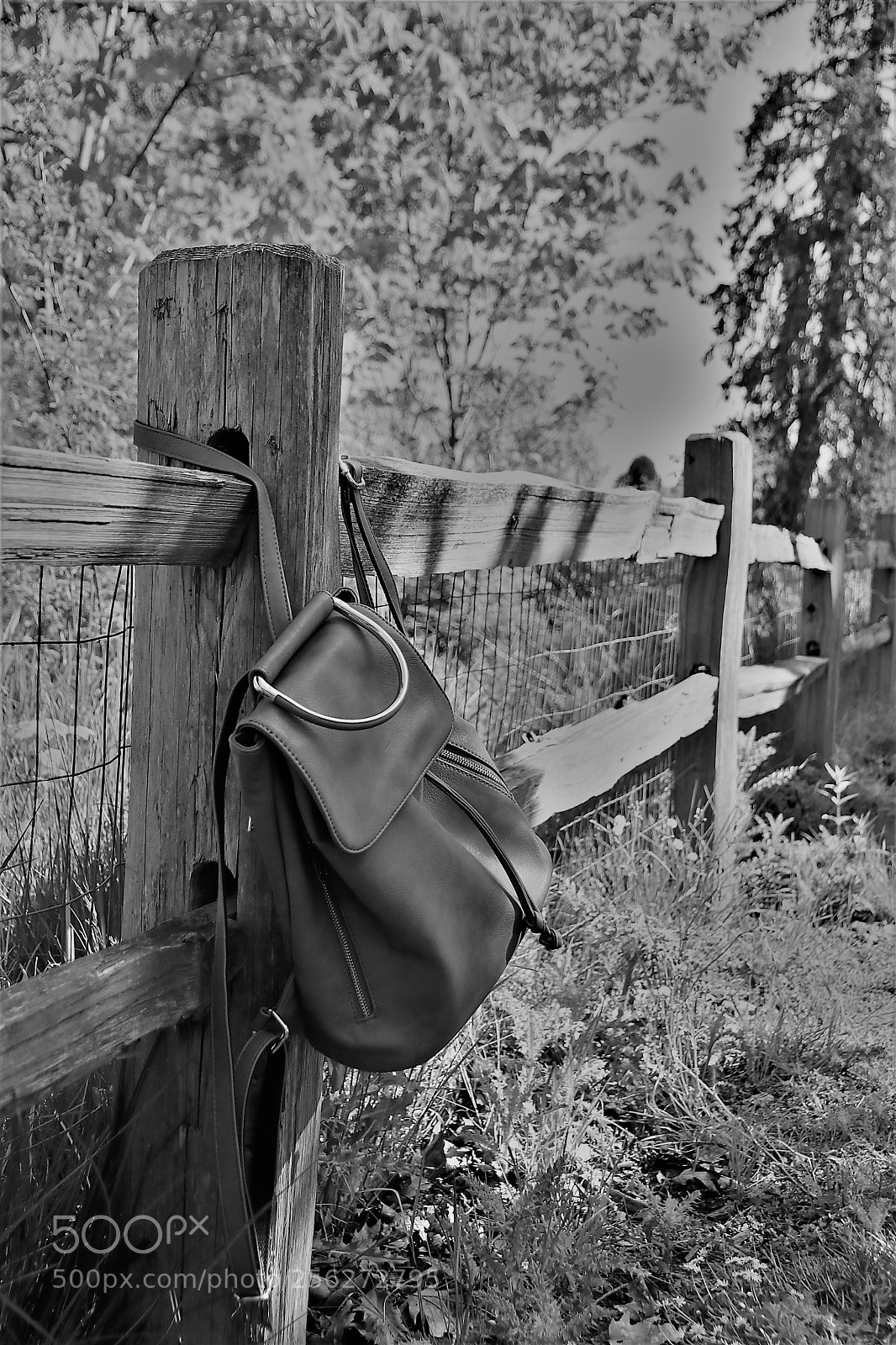 Canon EOS 80D sample photo. Ready to class photography