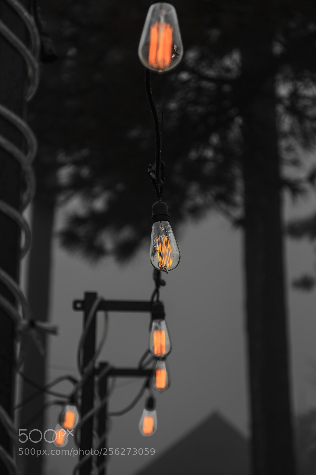 Canon EOS 5D Mark II sample photo. Lake arrowhead, ca photography
