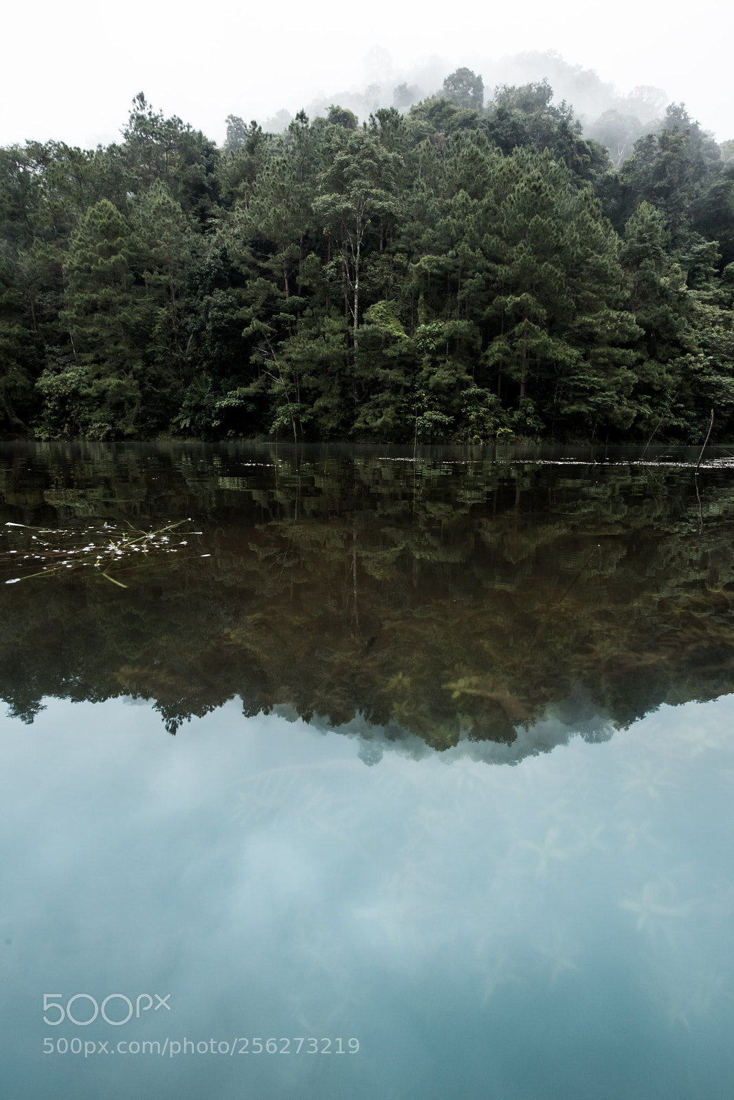Nikon D750 sample photo. Reflective photography