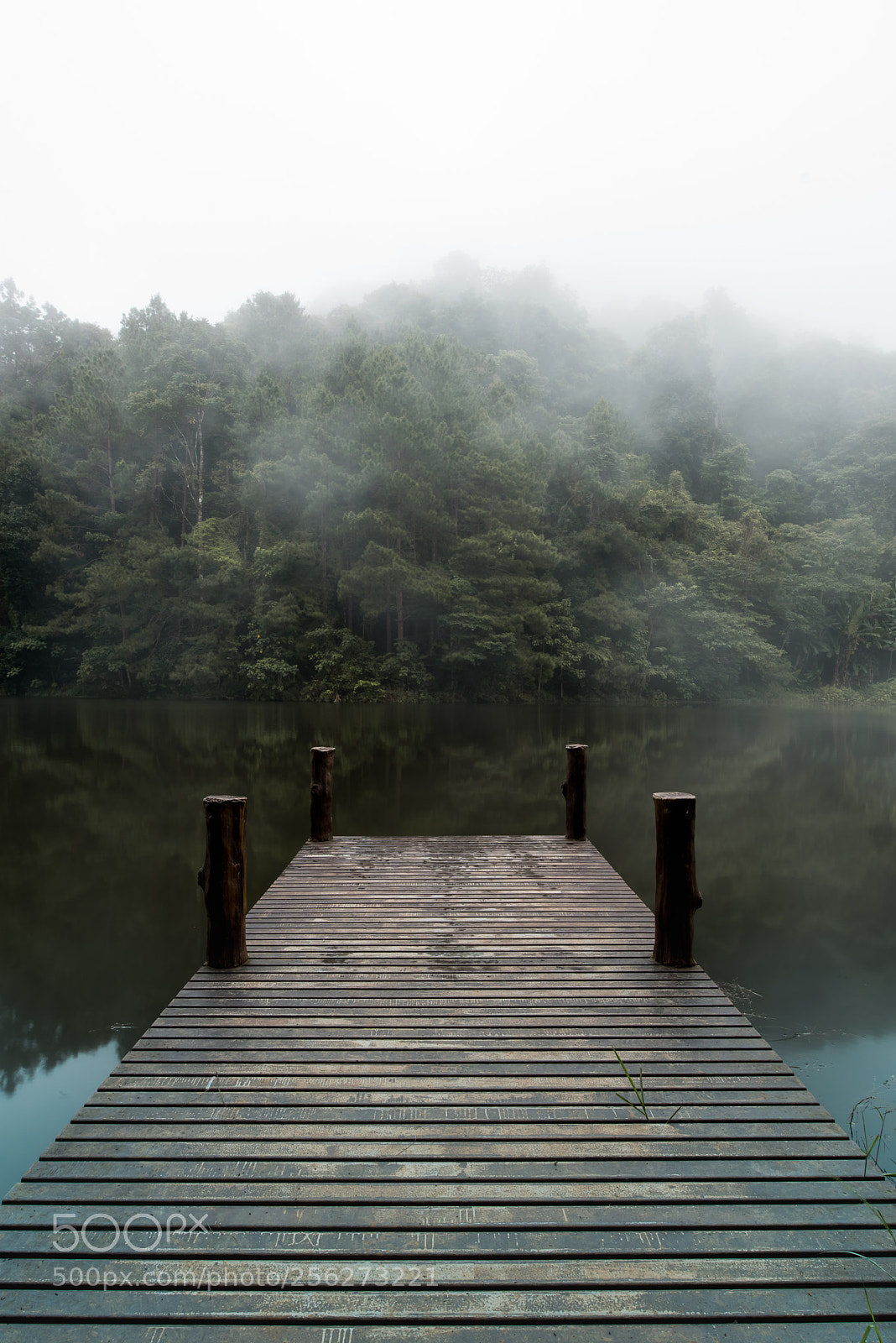 Nikon D750 sample photo. Walk to photography