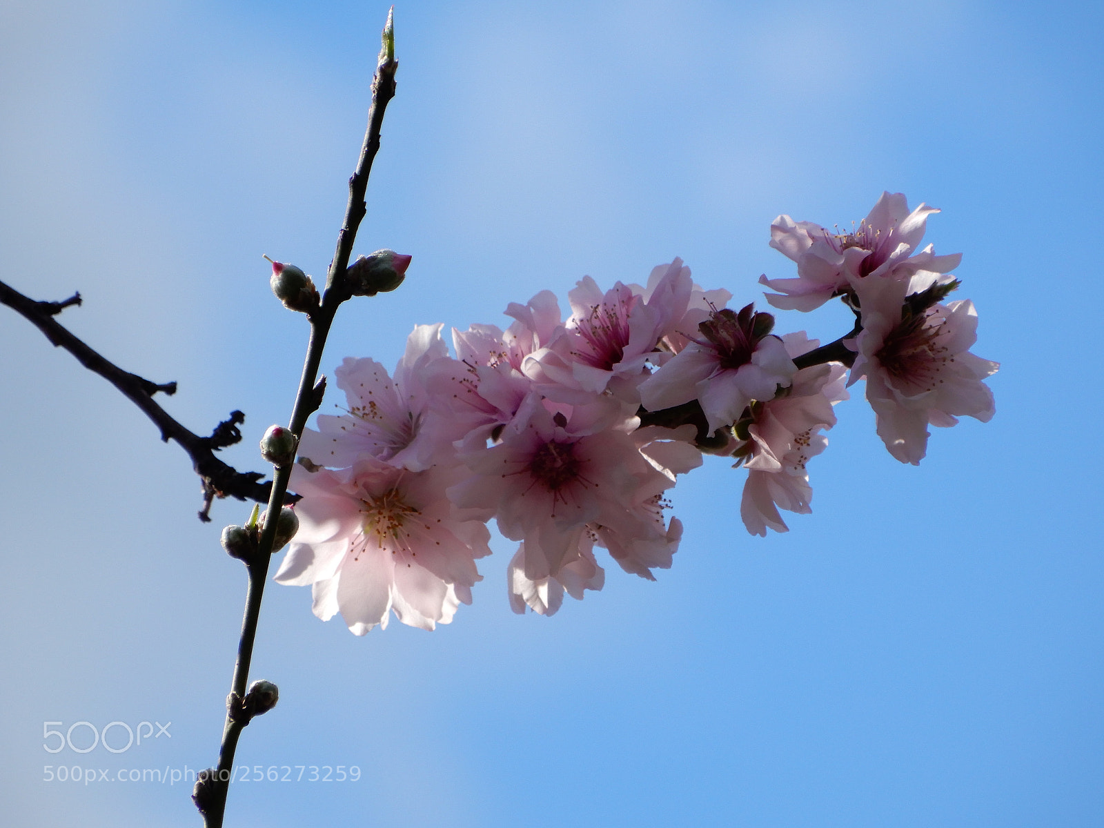Nikon Coolpix A900 sample photo. Overhang photography