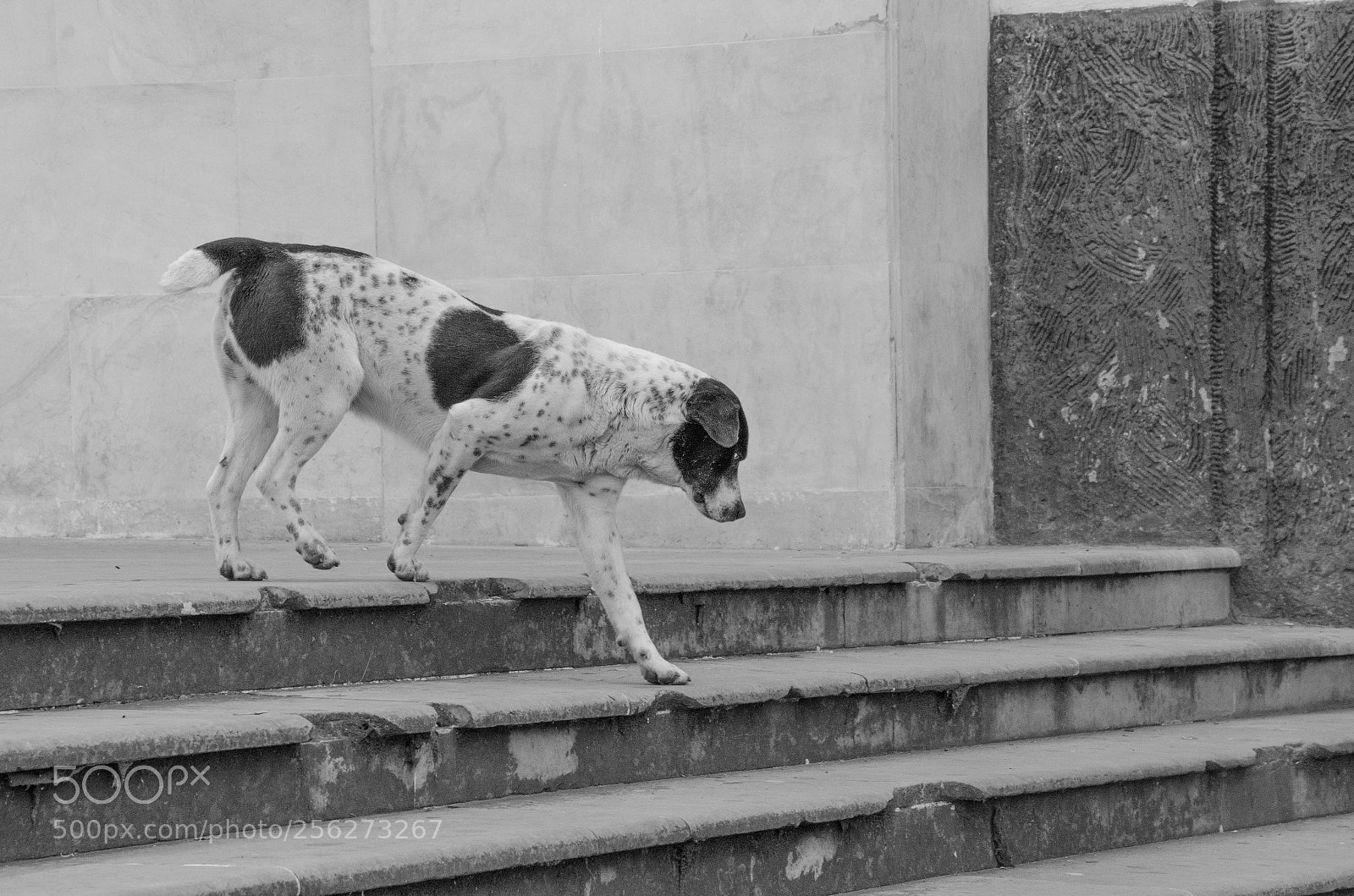 Nikon D5100 sample photo. Saliendo de la iglesia photography