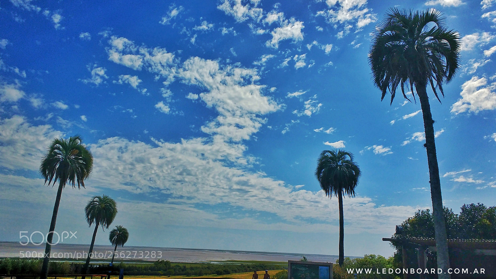 Motorola MotoG3 sample photo. Victoria del aire photography