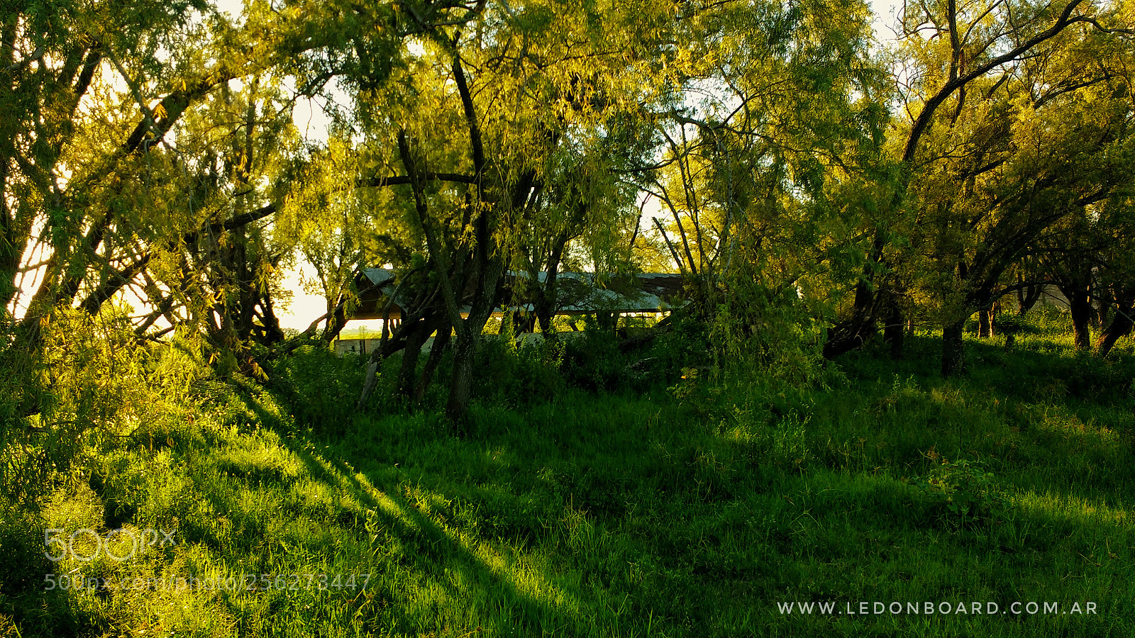 Motorola MotoG3 sample photo. Sunset photography