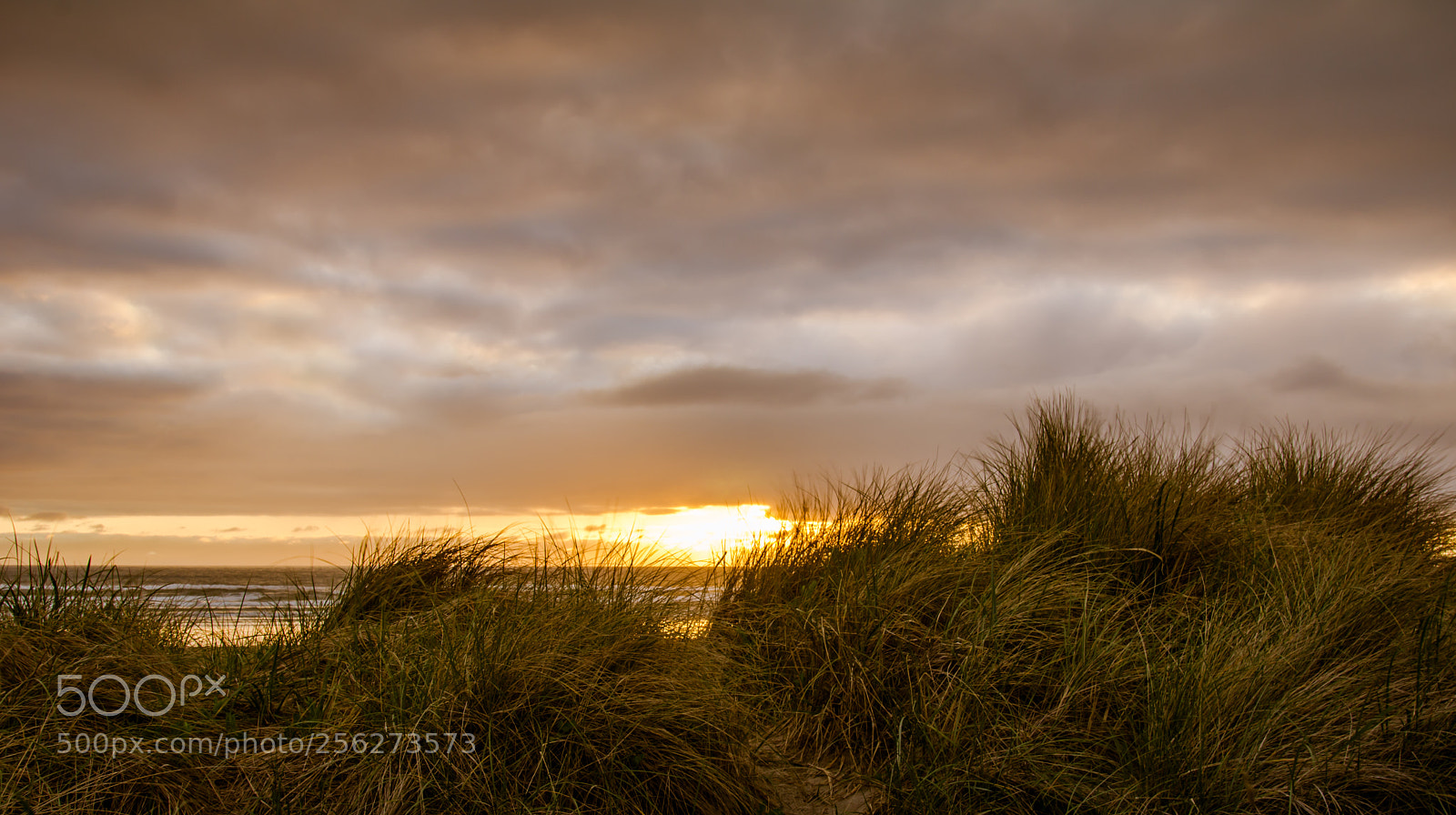 Nikon D7000 sample photo. Sunset through the dunes photography