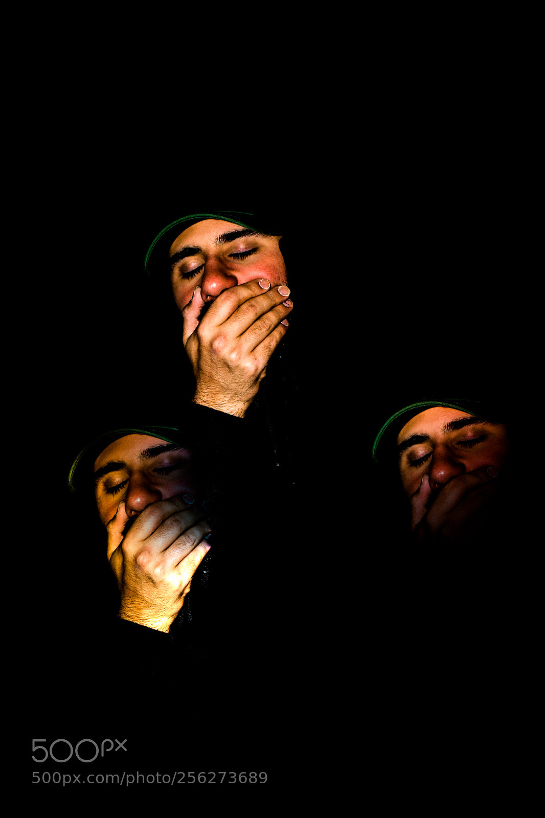 Nikon D3400 sample photo. Three head feelings photography