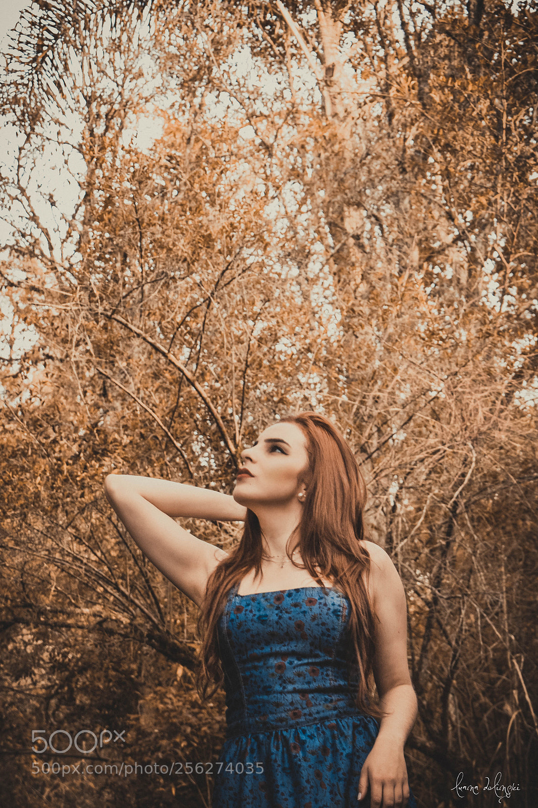 Nikon D5300 sample photo. The same photography