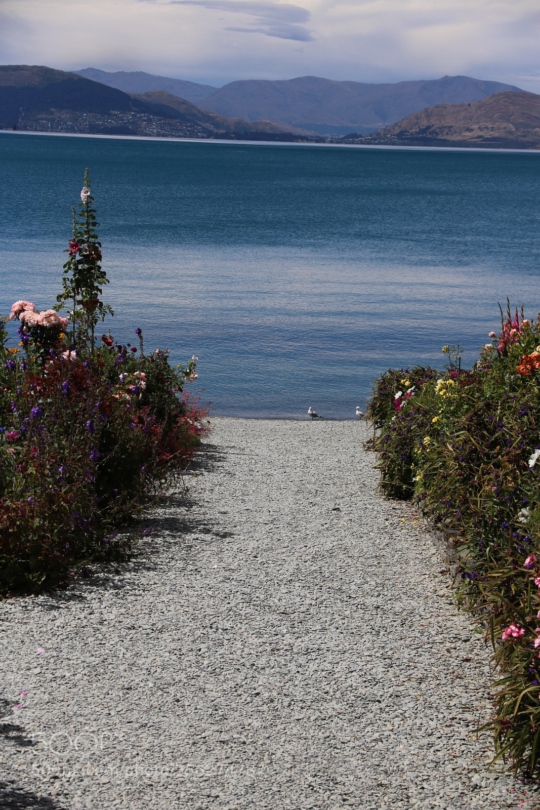 Canon EOS 750D (EOS Rebel T6i / EOS Kiss X8i) sample photo. Pathway to the sea photography