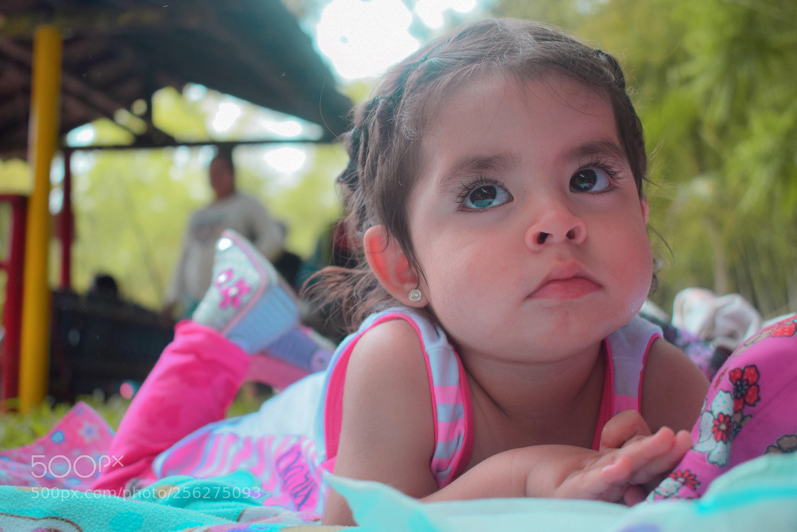 Nikon D3300 sample photo. Untitled photography