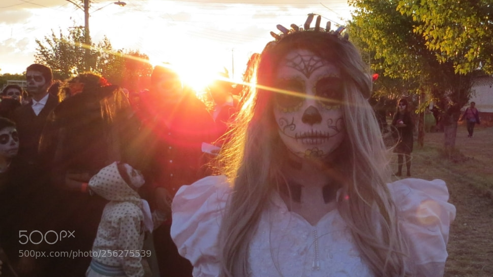 Canon PowerShot SX50 HS sample photo. The beauty of dead photography