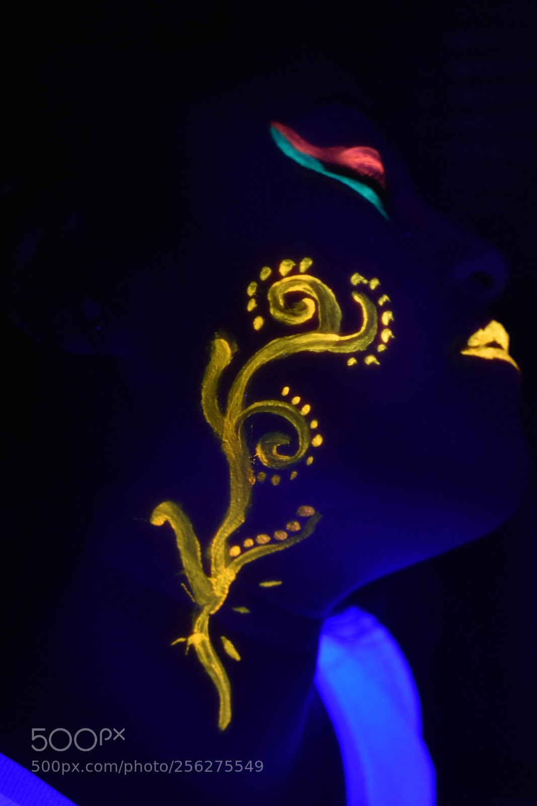 Nikon D3400 sample photo. Enlighten me photography